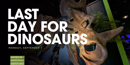 Dinosaur Exploration 2 - Extinction 