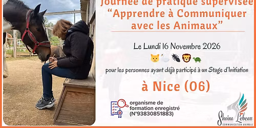 Communication Animale \ud83d\udc31\ud83d\udc39\ud83d\udc34 Journ\u00e9es de pratique supervis\u00e9e avec les animaux - vers Nice (06)