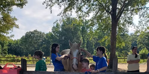Summer Camp 2026