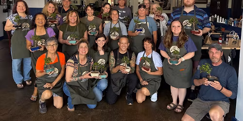 Dwarf Jade Bonsai Workshop, Milton