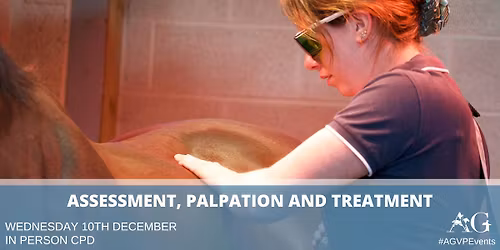 Assessment, Palpation & Treatment