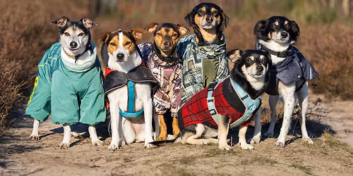 Honden voor Hondenloop, Hondenbescherming