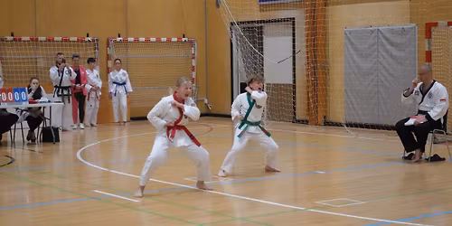 \u00d8dsted Cup 2026