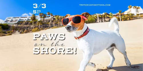 Paws on the Shore