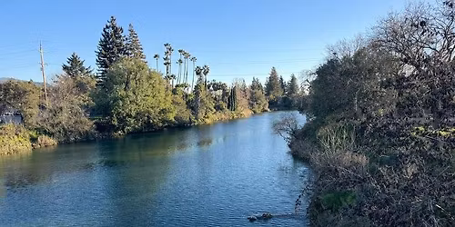 Napa Gator Search Party