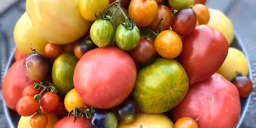 Heirloom Tomato Talk\/Tour at Farm