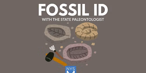 Fossil ID with the State Paleontologist