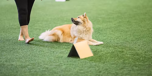 Rally-toko epikset 17.4.2026 Tamsk-halli