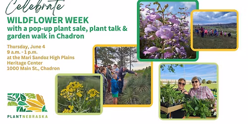 Wildflower Week Pop-up Plant Sale, Plant Talk & Garden Walk