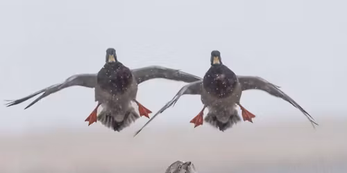 South valley chapter spring Banquet 