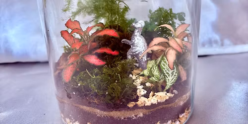 DIY terrarium workshop