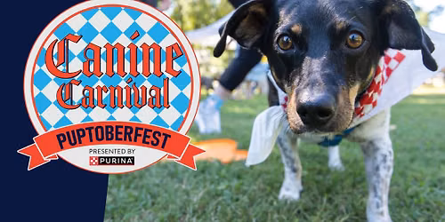 Canine Carnival