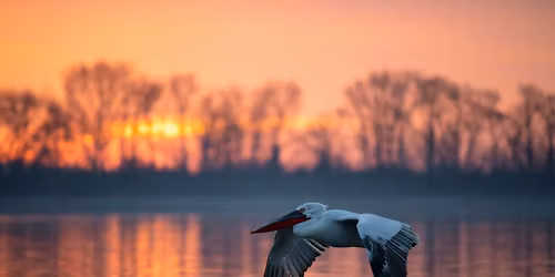 \u039b\u03af\u03bc\u03bd\u03b7 \u039a\u03b5\u03c1\u03ba\u03af\u03bd\u03b7