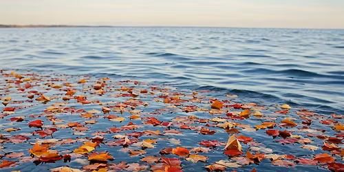 2025 Fall Ocean Race