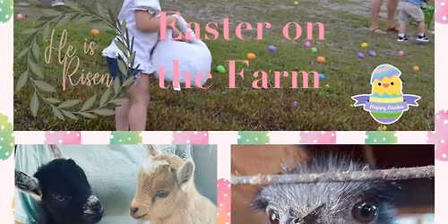 Easter On The Farm at Triple J Stables & Petting Zoo\ud83e\udd9c\ud83c\udf38\ud83c\udf3b\ud83e\udd99\ud83e\udd9a