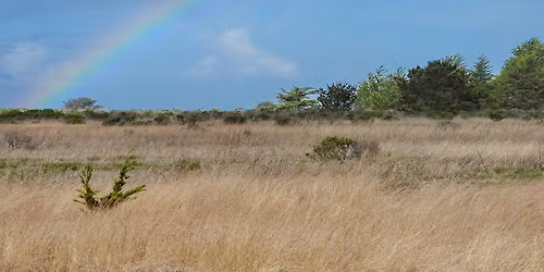 The Wonders of Wavecrest: A Guided Tour