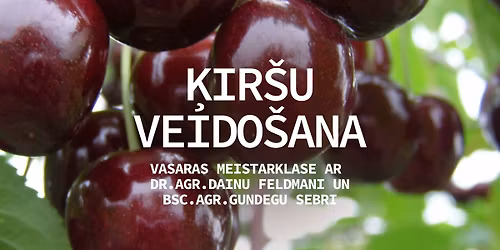 \u0136ir\u0161u vasaras veido\u0161anas meistarklase