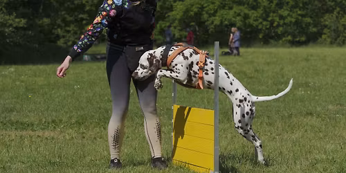 V\u00fdcvikov\u00fd v\u00edkend z\u00e1\u0159\u00ed 2026 