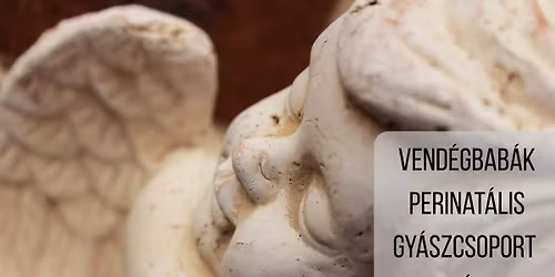 Vend\u00e9gbab\u00e1k - perinat\u00e1lis gy\u00e1szcsoport V\u00c1C
