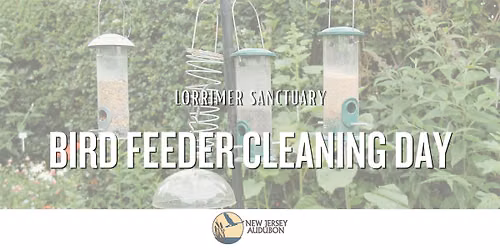 Bird Feeder Cleaning Day