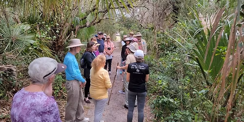 Plant Walks (Apollo District) 