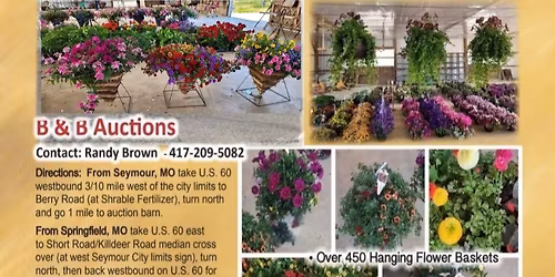 Special Mother's Auction