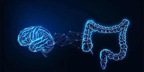 The Gut-Brain Connection