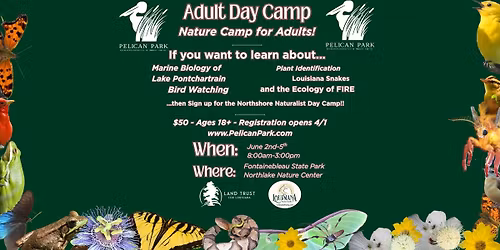 Northshore Naturalist Adult Day Camp