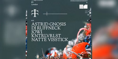 Natte Visstick at The Concourse Project