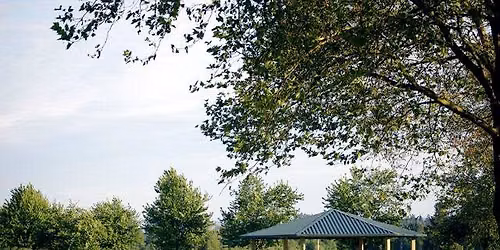 FREE Yoga at King County's Marymoor Park