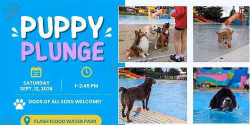 Puppy Plunge at Flash Flood Water Park