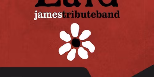 Laid - James Tribute Band