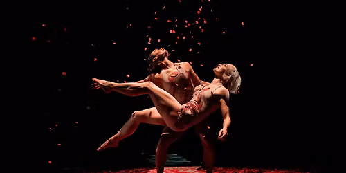 Pilobolus at GLAZER HALL