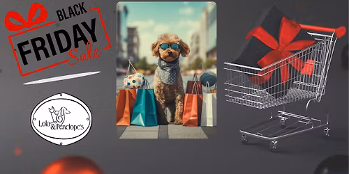 Black Friday Celebration!