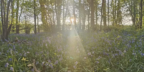 Adult Wellbeing Tribe - block of 4 weekly 2-hour sessions
