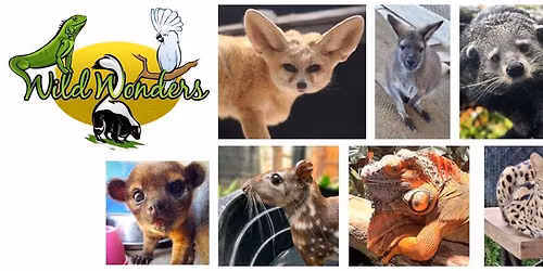 Wild Wonders Animal Show