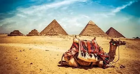 Travel to Egypt with Aaron