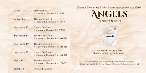 Angels: A Bible Study by Melissa Spoelstra