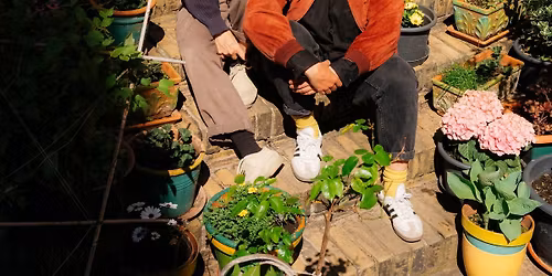 DIE H\u00d6CHSTE EISENBAHN \/\/ Rostock!