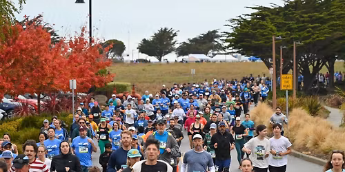 Midway Shelter Winter Run