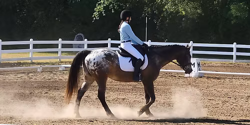 Reins of Life Benefit Dressage Show - South Bend