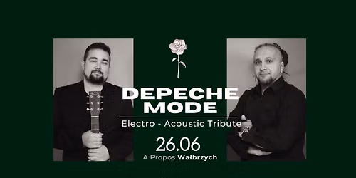 Depeche Mode: electro acoustic tribute \/\/ Wa\u0142brzych