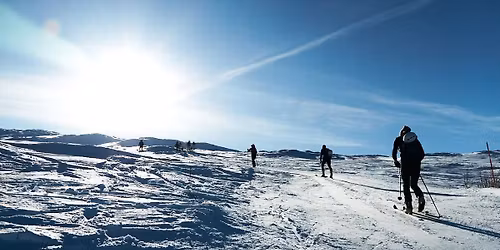 Trillevallen Skimo 2026