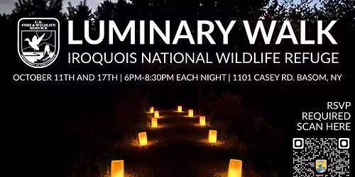 Luminary Walk