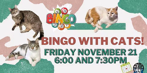 Bingo with Cats! November 21, 2025
