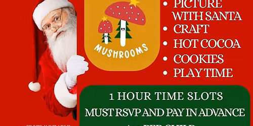 Christmas At Mini Mushroms