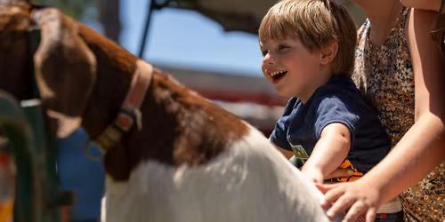 5th Annual Paradise Grazing Festival!