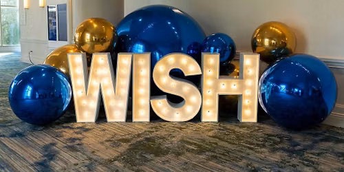 The 33rd Annual Fields BMW Wishmakers Ball