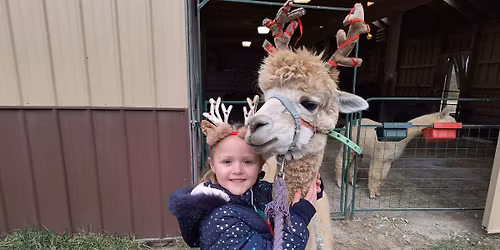 Alpacas and Friends Open Barn