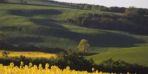 Wernisa\u017c wystawy fotografii "Morawy wiosn\u0105" Witolda Koleszki